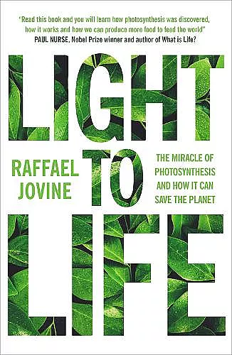 Light to Life cover
