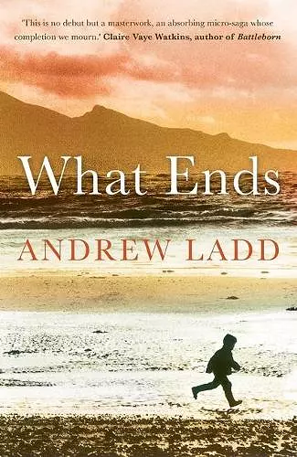 What Ends cover