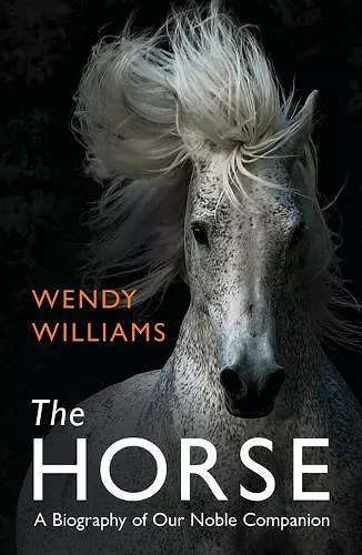 The Horse cover