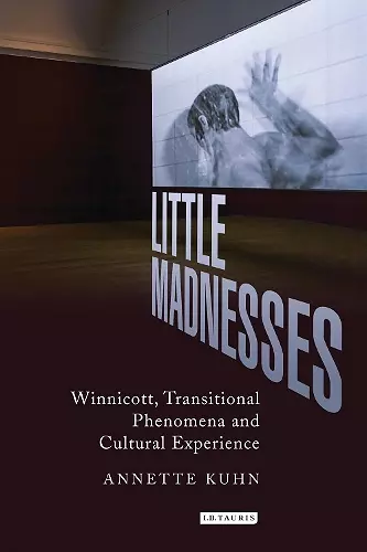 Little Madnesses cover