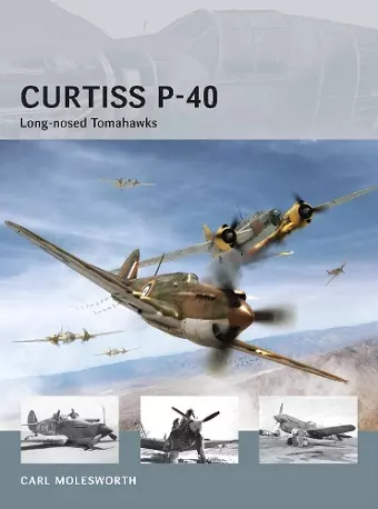 Curtiss P-40 cover