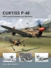 Curtiss P-40 cover