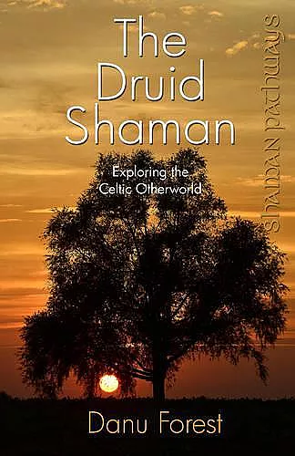 Shaman Pathways - the Druid Shaman cover