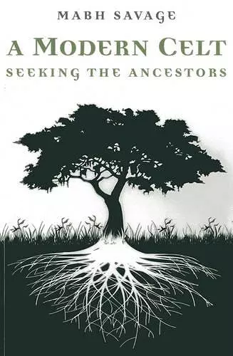 Modern Celt, A – Seeking the Ancestors cover