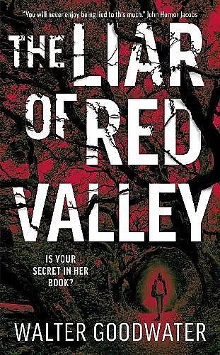 The Liar of Red Valley cover