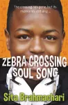 Zebra Crossing Soul Song cover