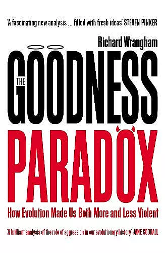 The Goodness Paradox cover
