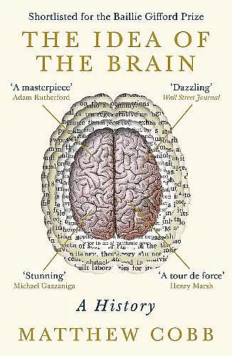 The Idea of the Brain cover