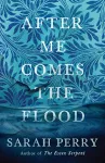 After Me Comes the Flood cover