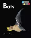 Bats cover