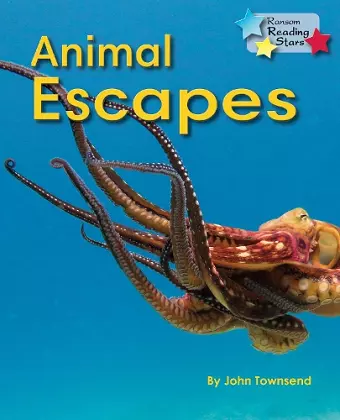 Animal Escapes cover