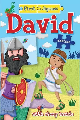 David cover