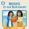 Moses in the Bulrushes cover