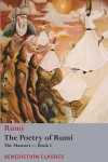 The Poetry of Rumi cover