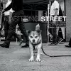 Mastering Street Photography cover
