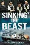 Sinking the Beast cover