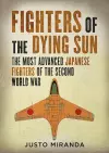 Fighters of the Dying Sun cover