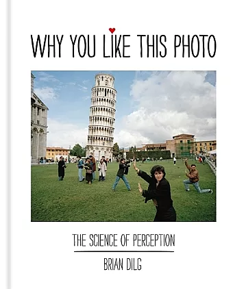 Why You Like This Photo cover