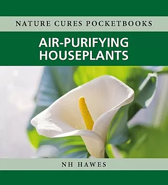 Air-Purifying Houseplants cover