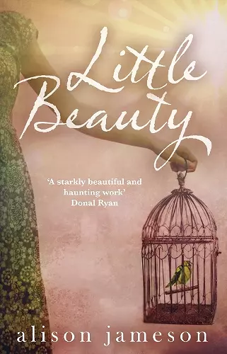 Little Beauty cover