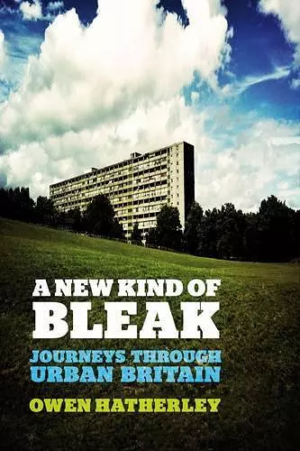 A New Kind of Bleak cover