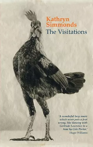 The Visitations cover