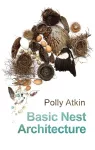 Basic Nest Architecture cover