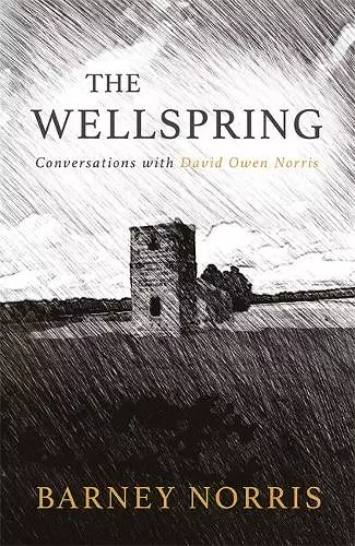 The Wellspring cover