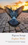Pigeon Songs cover