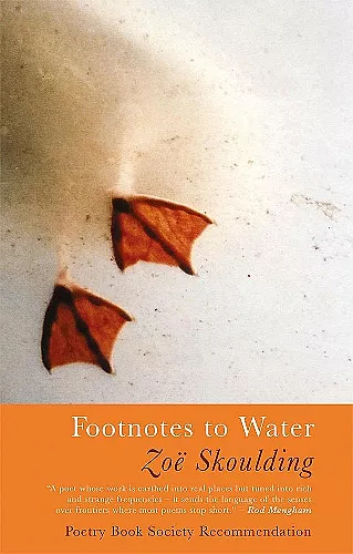 Footnotes to Water cover