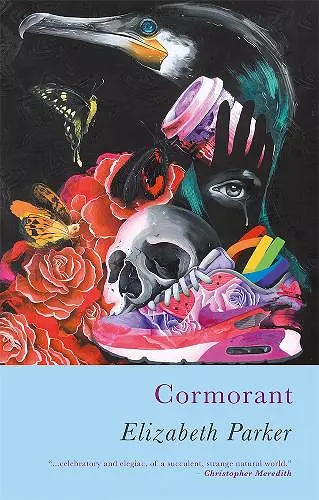 Cormorant cover