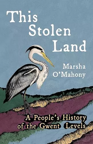 This Stolen Land cover
