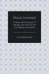 Divine Covenant cover