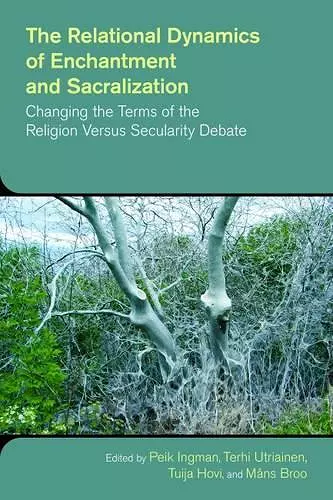 The Relational Dynamics of Disenchantment and Sacralization cover