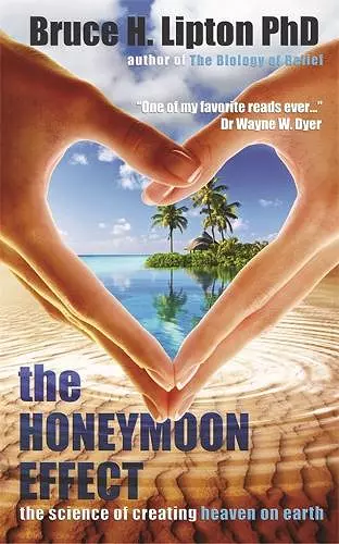 The Honeymoon Effect cover