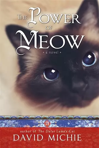 The Power of Meow cover