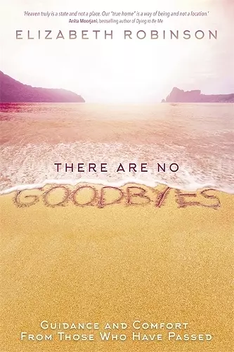 There Are No Goodbyes cover