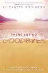 There Are No Goodbyes cover