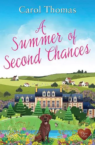 A Summer of Second Chances cover