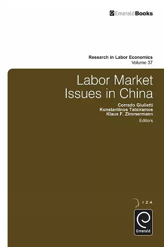 Labor Market Issues in China cover