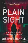 In Plain Sight cover