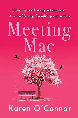 Meeting Mae cover