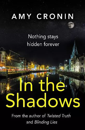 In The Shadows cover