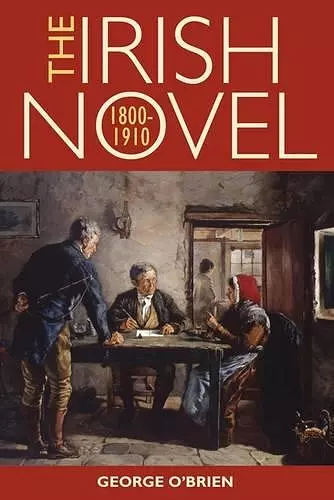 The Irish Novel 1800-1910 cover