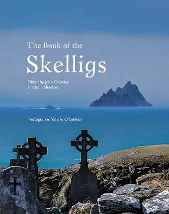 The Book of the Skelligs cover