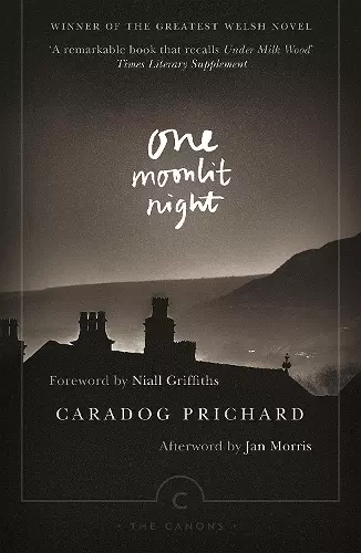 One Moonlit Night cover