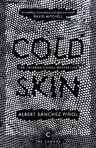 Cold Skin cover