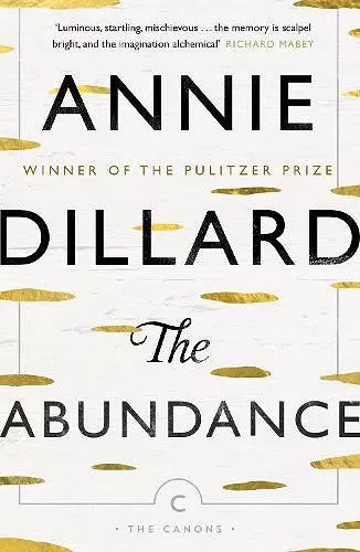 The Abundance cover