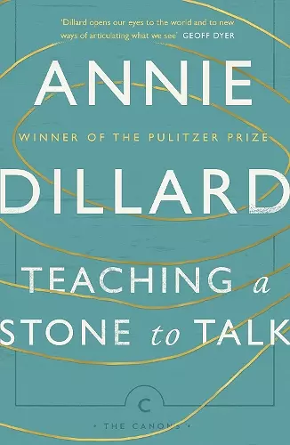 Teaching a Stone to Talk cover