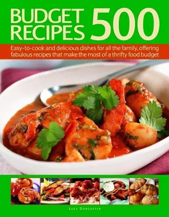 500 Budget Recipes cover